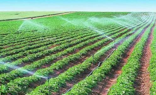 小穴嫩逼免费看农田高 效节水灌溉